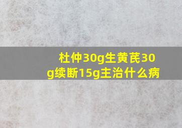 杜仲30g生黄芪30g续断15g主治什么病