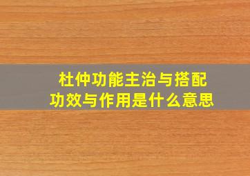 杜仲功能主治与搭配功效与作用是什么意思