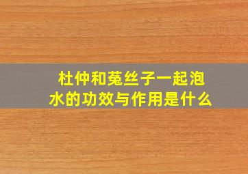 杜仲和菟丝子一起泡水的功效与作用是什么