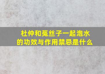 杜仲和菟丝子一起泡水的功效与作用禁忌是什么