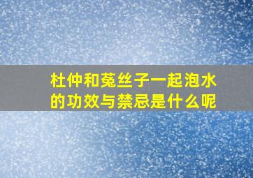 杜仲和菟丝子一起泡水的功效与禁忌是什么呢