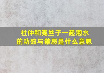 杜仲和菟丝子一起泡水的功效与禁忌是什么意思