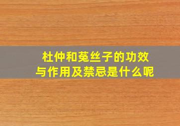 杜仲和菟丝子的功效与作用及禁忌是什么呢