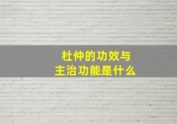 杜仲的功效与主治功能是什么