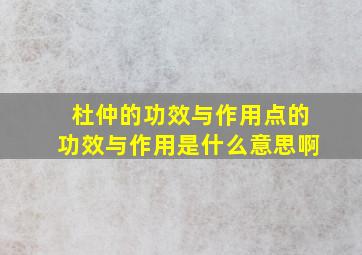 杜仲的功效与作用点的功效与作用是什么意思啊