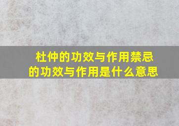 杜仲的功效与作用禁忌的功效与作用是什么意思