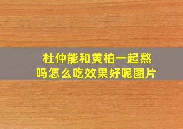 杜仲能和黄柏一起熬吗怎么吃效果好呢图片