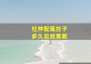 杜仲配菟丝子多久见效果呢