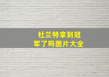 杜兰特拿到冠军了吗图片大全