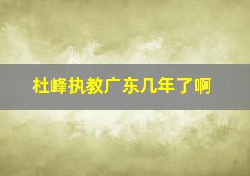 杜峰执教广东几年了啊