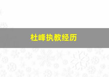 杜峰执教经历