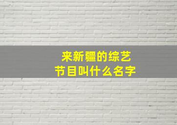 来新疆的综艺节目叫什么名字