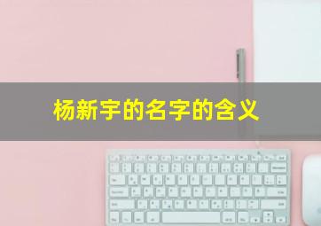 杨新宇的名字的含义