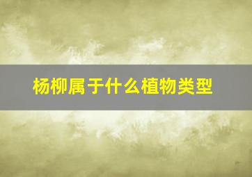 杨柳属于什么植物类型