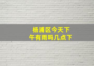 杨浦区今天下午有雨吗几点下