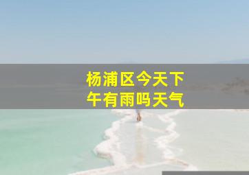 杨浦区今天下午有雨吗天气