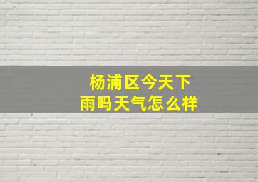 杨浦区今天下雨吗天气怎么样