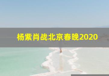 杨紫肖战北京春晚2020