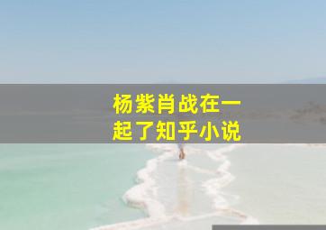 杨紫肖战在一起了知乎小说