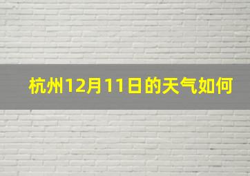 杭州12月11日的天气如何