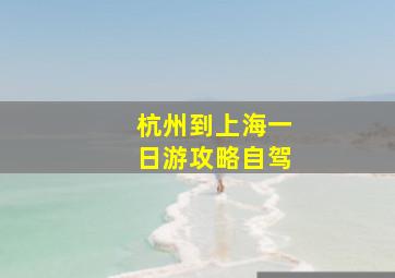 杭州到上海一日游攻略自驾