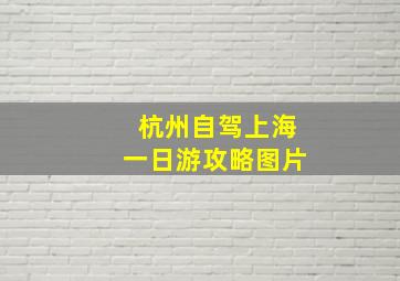 杭州自驾上海一日游攻略图片