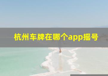 杭州车牌在哪个app摇号