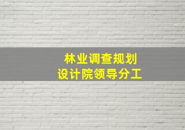 林业调查规划设计院领导分工