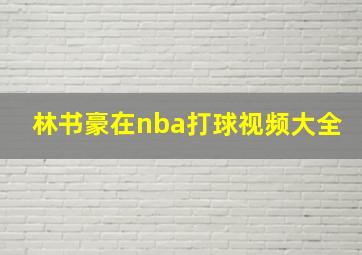 林书豪在nba打球视频大全