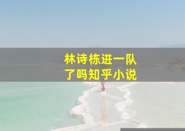 林诗栋进一队了吗知乎小说