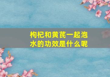 枸杞和黄芪一起泡水的功效是什么呢