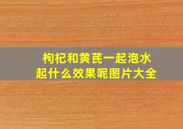 枸杞和黄芪一起泡水起什么效果呢图片大全