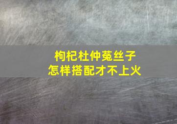 枸杞杜仲菟丝子怎样搭配才不上火