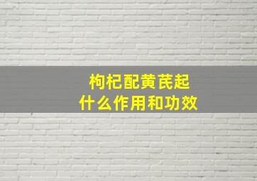 枸杞配黄芪起什么作用和功效