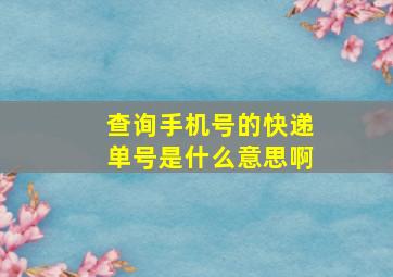 查询手机号的快递单号是什么意思啊