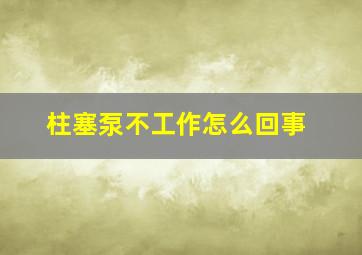 柱塞泵不工作怎么回事