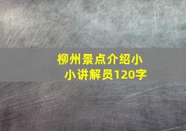 柳州景点介绍小小讲解员120字