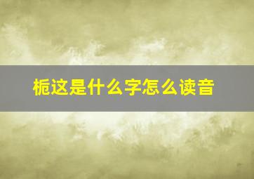 栀这是什么字怎么读音