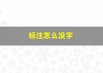 标注怎么没字