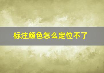 标注颜色怎么定位不了