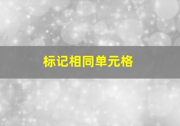 标记相同单元格