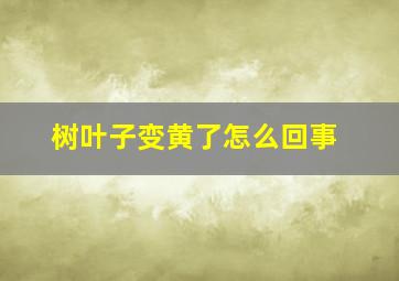 树叶子变黄了怎么回事