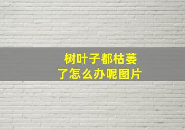 树叶子都枯萎了怎么办呢图片