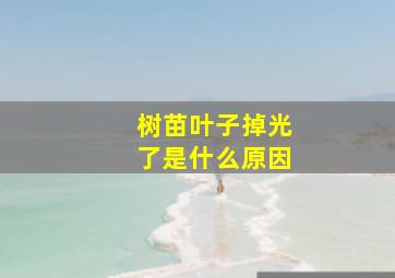 树苗叶子掉光了是什么原因