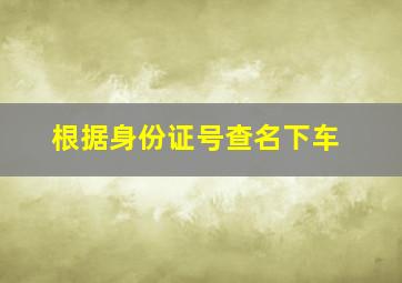 根据身份证号查名下车