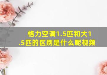 格力空调1.5匹和大1.5匹的区别是什么呢视频