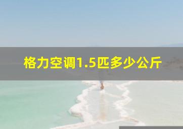 格力空调1.5匹多少公斤