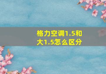 格力空调1.5和大1.5怎么区分