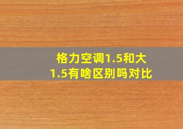 格力空调1.5和大1.5有啥区别吗对比