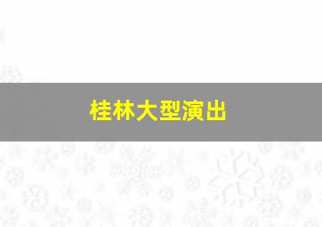 桂林大型演出